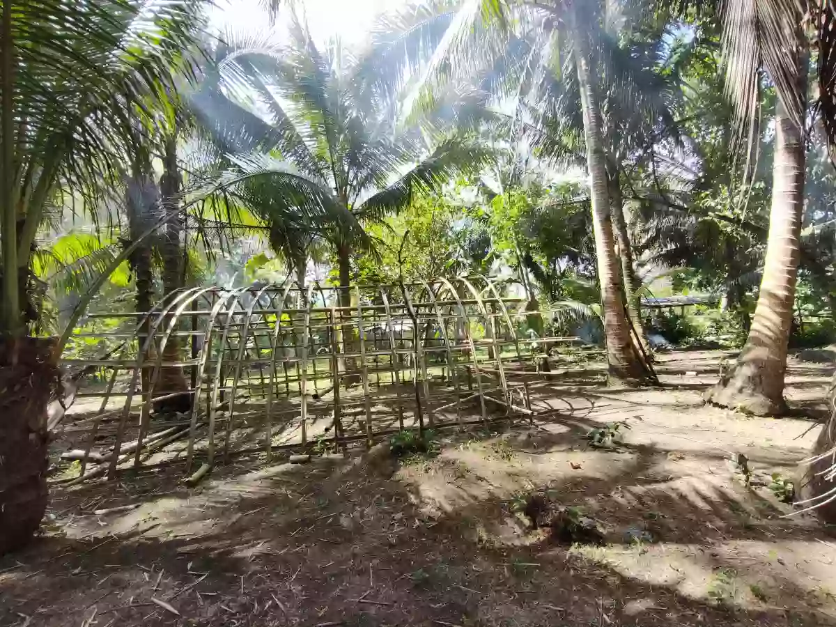 Calsadahay Agricultural Lot for Sale in Tanauan — With Bungalow House — Agricultural Lot in Tanauan, Leyte, 6502 — Photo 5