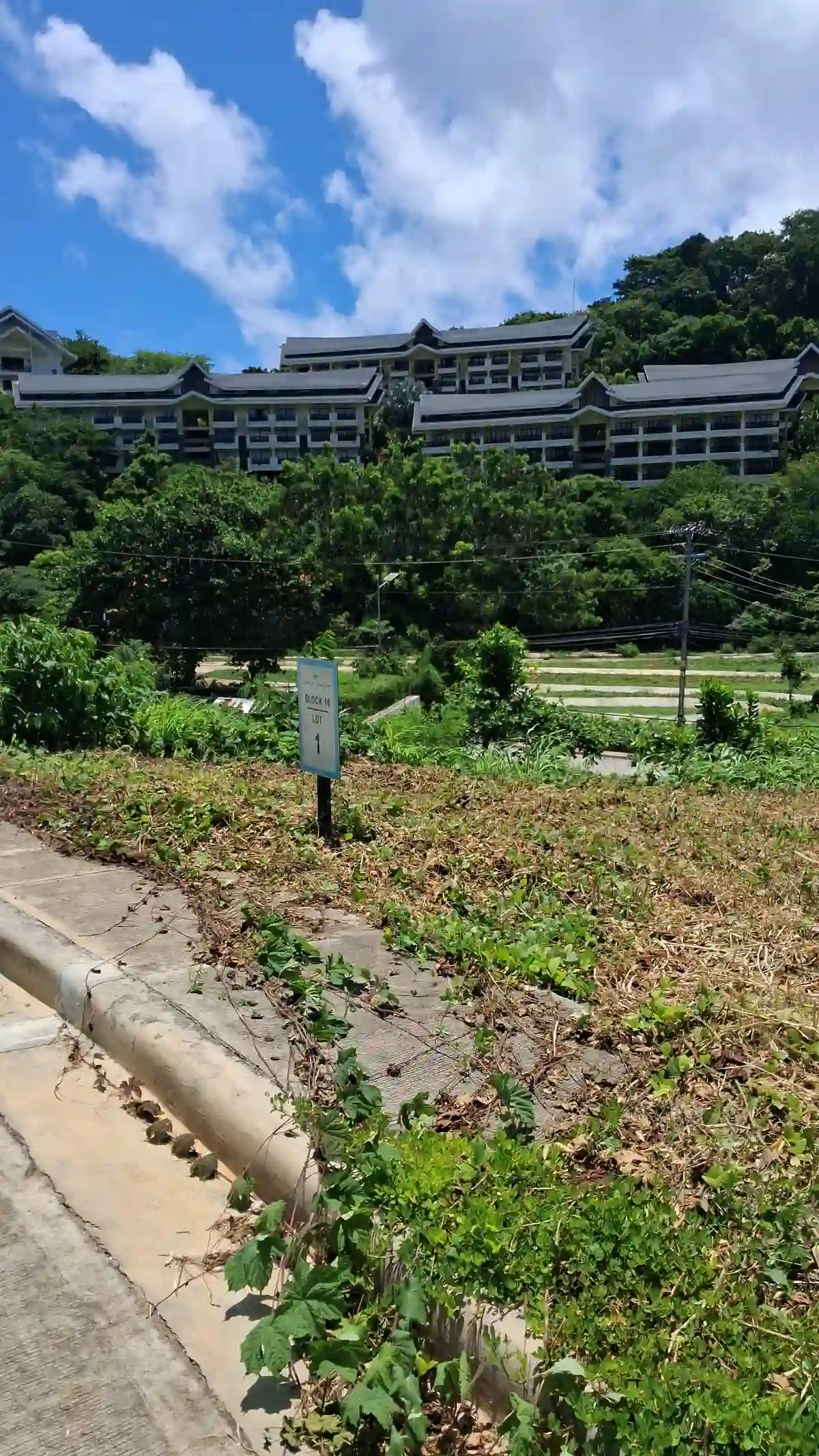 271 sqm Prime Lot in Newcoast Village, Boracay — Residential Lot in Malay, Aklan, 5608 — Photo 4