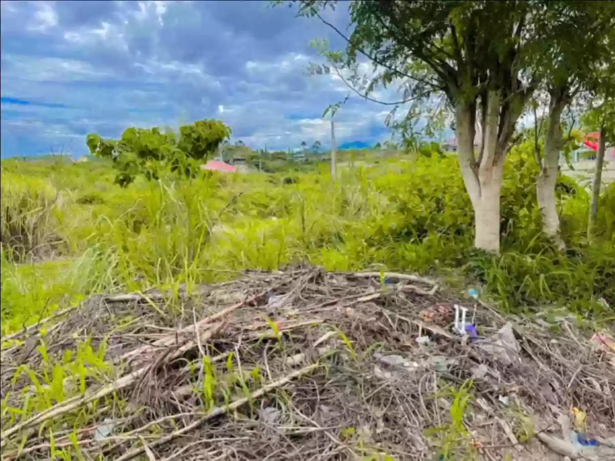 For Sale: Residential Lot in Santa Cruz, Liloan, Cebu — 276 sqm — Residential Lot in Liloan, Cebu, 6002 — Photo 6
