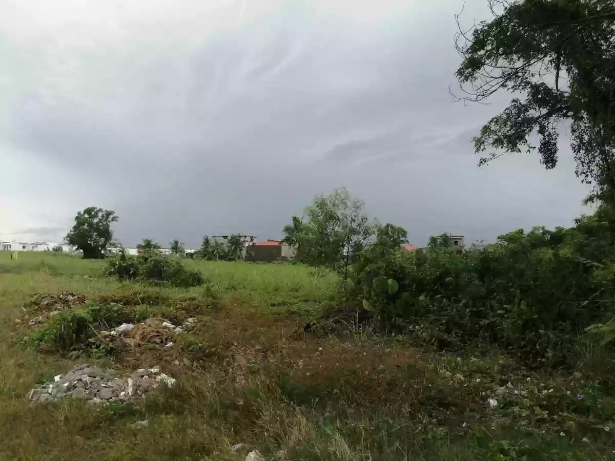 FOR SALE: Residential Lot in Tabucan, Iloilo City — 76,097 sqm — Residential Lot in Tabucan, Iloilo City, Iloilo — Photo 6