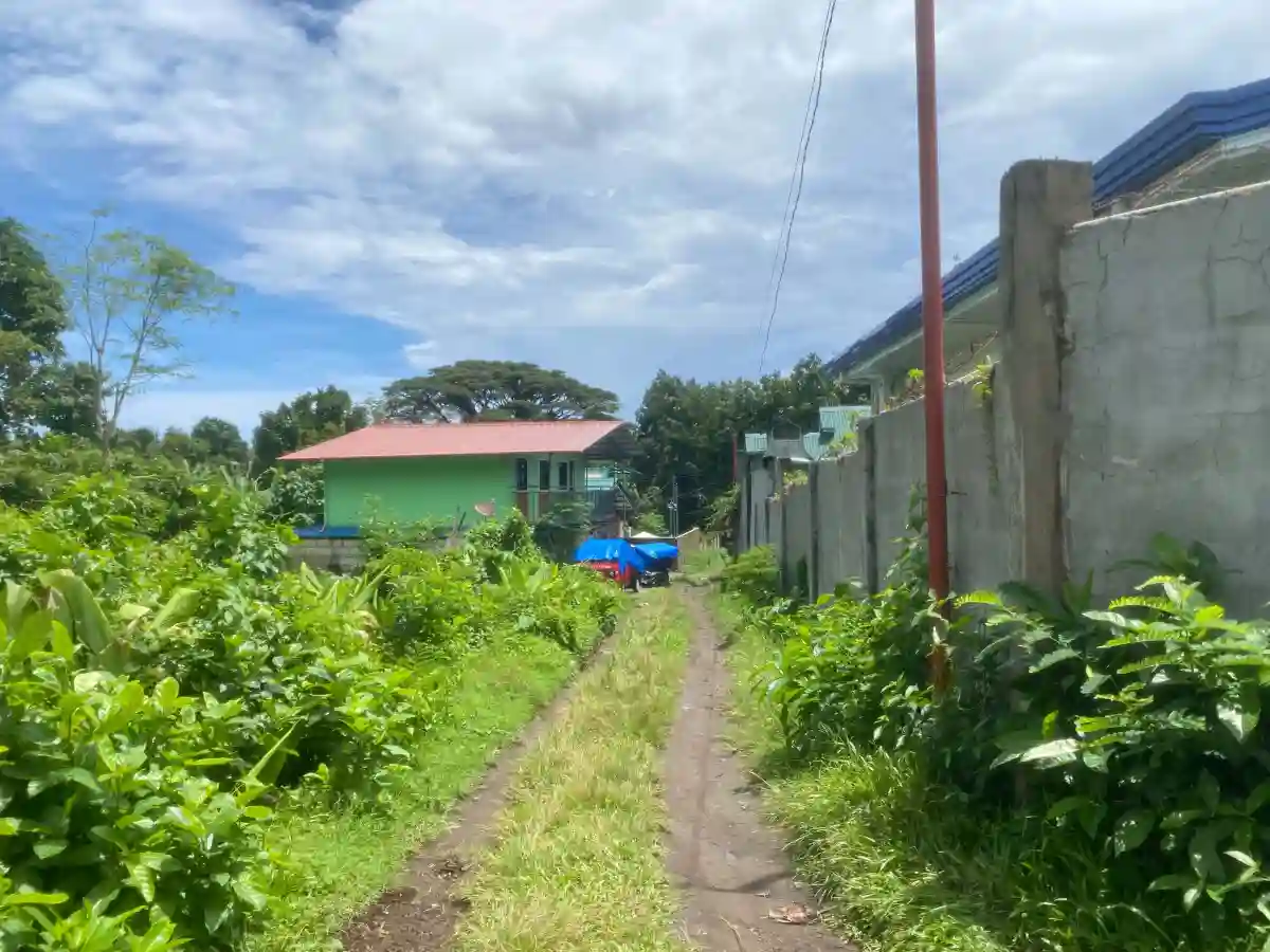 For Sale: 2BR House and Lot in Liptong, Valencia — 489 sqm — House and Lot in Valencia, Negros Oriental, 6215 — Photo 3