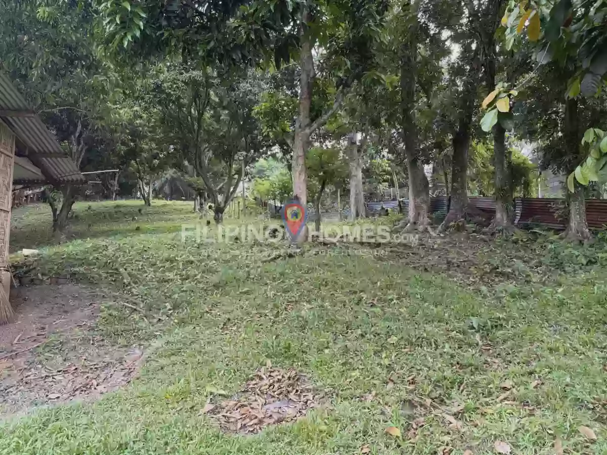 🌴 LOT FOR SALE in Kiwanan, Midsayap! 🏡✨ — Agricultural Lot in Midsayap, Cotabato, 9410 — Photo 3