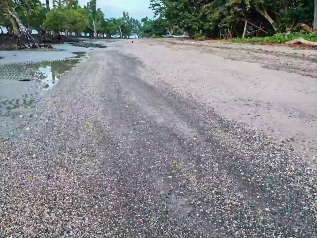 For Sale: Beach Lot in Tinitian, Roxas — Investment Lot — Beach Lot in Roxas, Palawan, 5308 — Photo 3