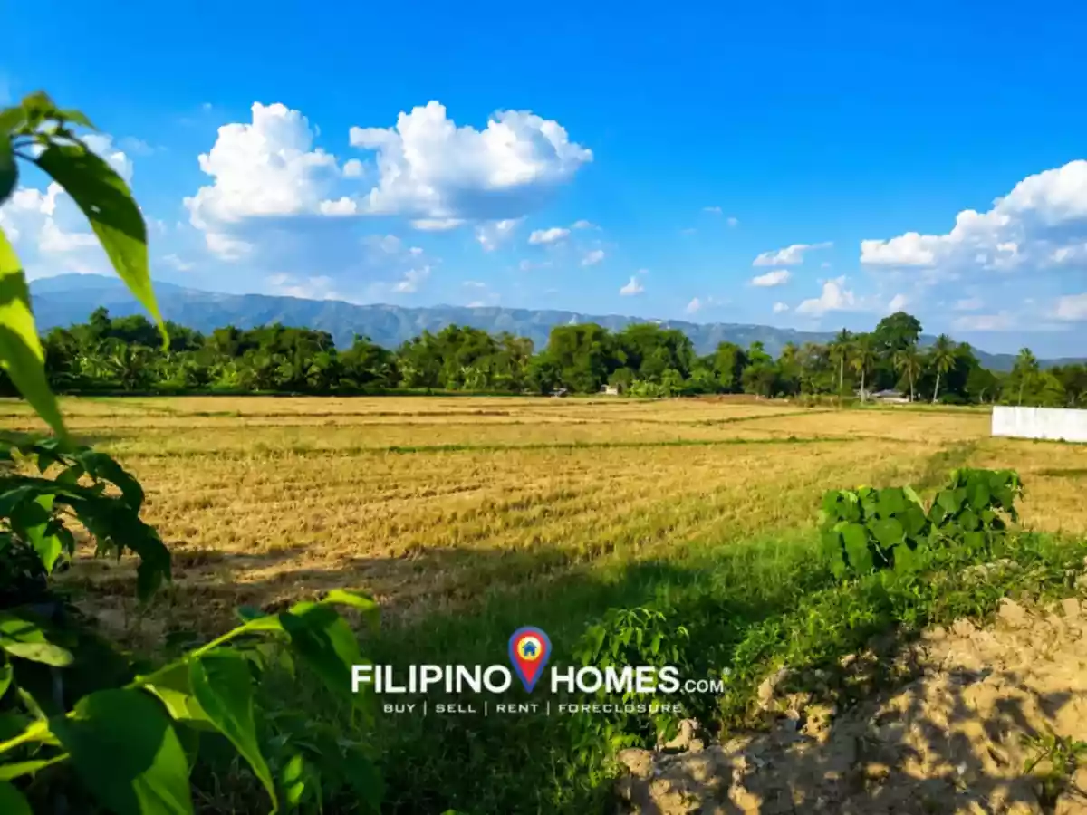 For Sale: Agricultural Lot in Baguer, Libungan — 39357 sqm — Agricultural Lot in Libungan, Cotabato, 9411 — Photo 2