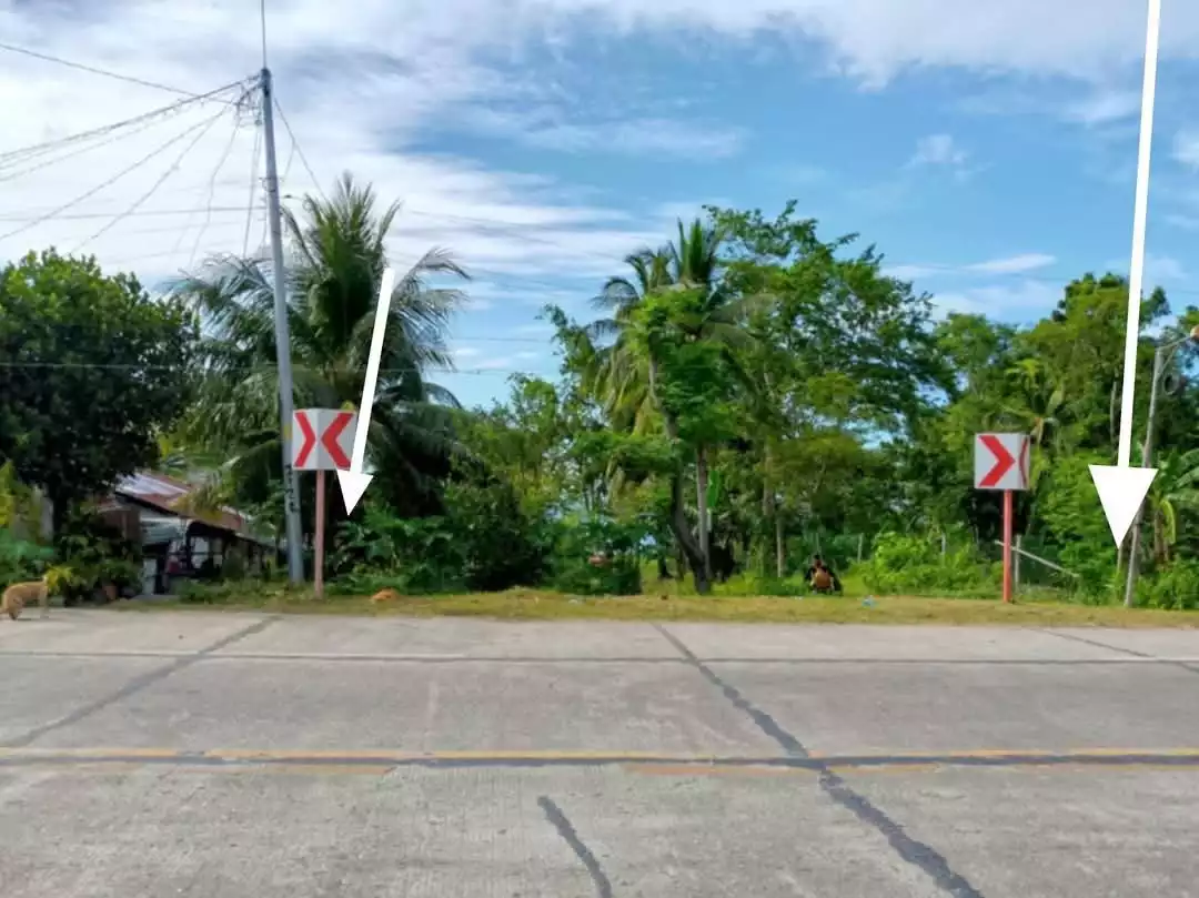 BEACH LOT FOR SALE IN BARANGAY LUYANG SAN REMEGIO — Beach Lot in San Remegio, Cebu, 6011 — Photo 2