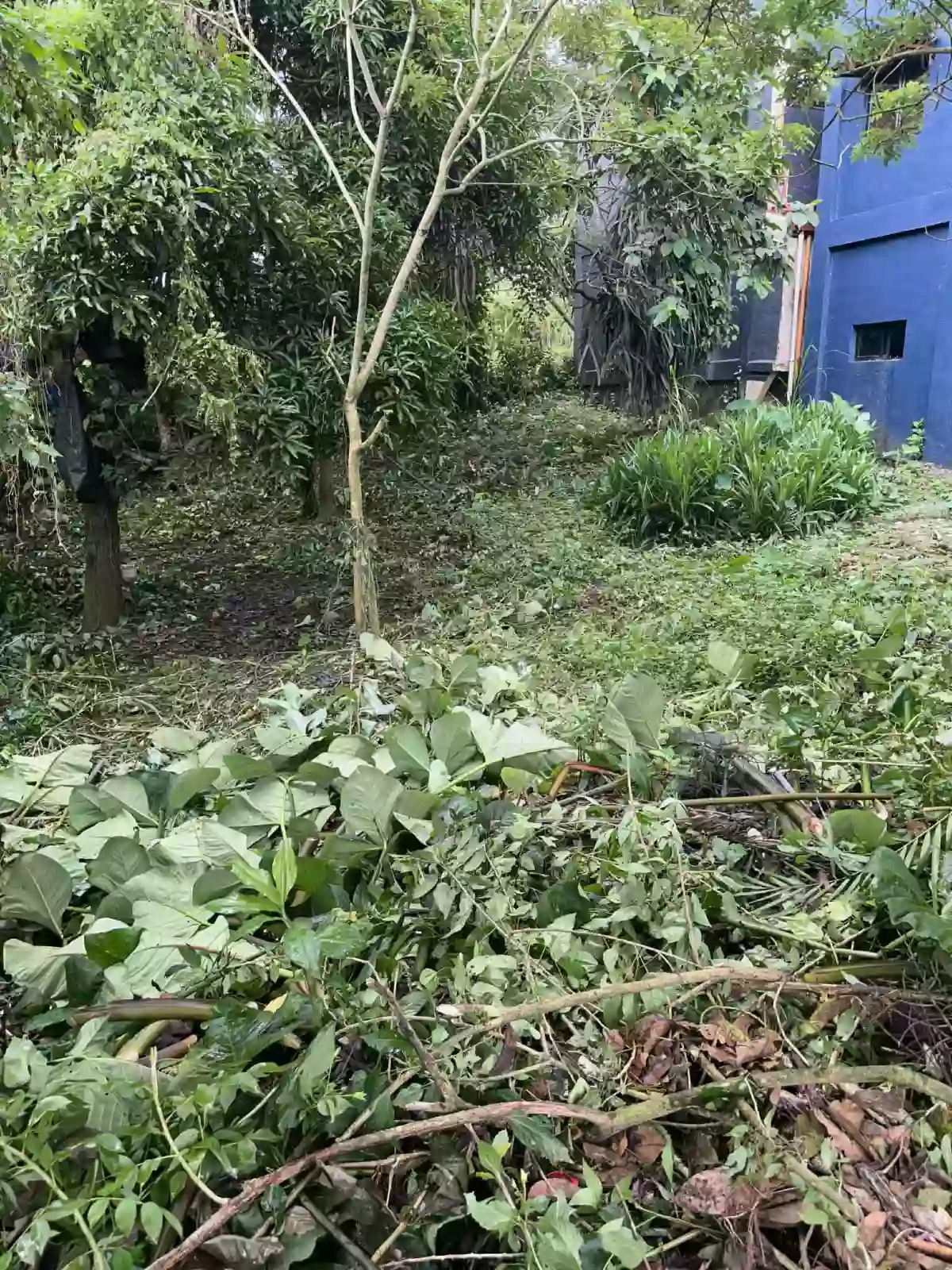 For Sale: Residential Lot in Patutong Malaki South, Tagaytay City — 258 sqm — Residential Lot in Tagaytay City, Cavite, 4120 — Photo 2