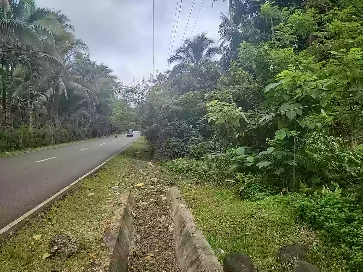 Agricultural Land For Sale — Agricultural Lot in Linamon, Lanao del Norte, 9201 — Photo 4