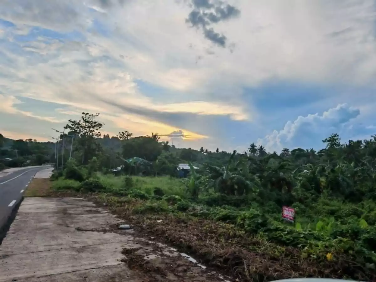 For Sale: Beach Lot in Tinitian, Roxas — Investment Lot — Beach Lot in Roxas, Palawan, 5308 — Photo 2