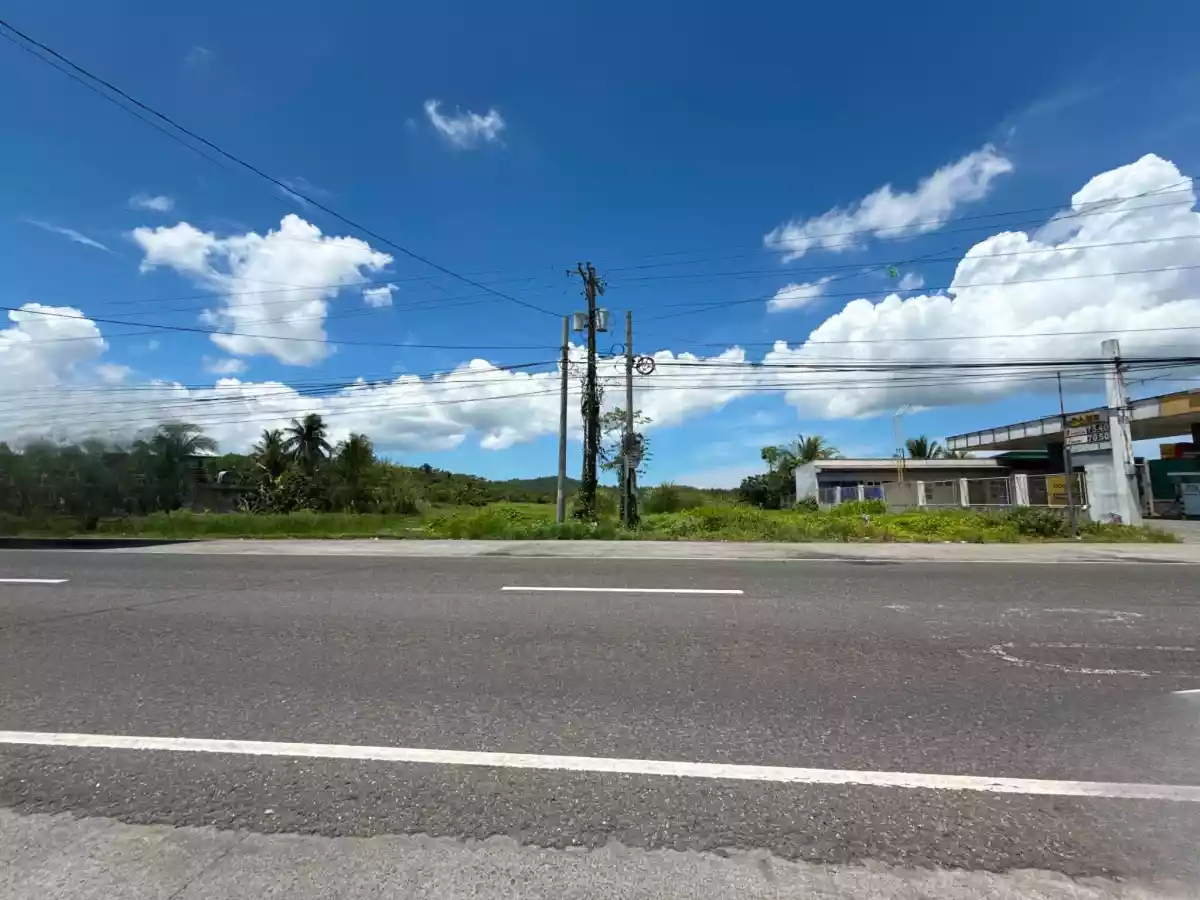 For Sale: Commercial Lot in Poblacion, Pamplona — 90000 sqm