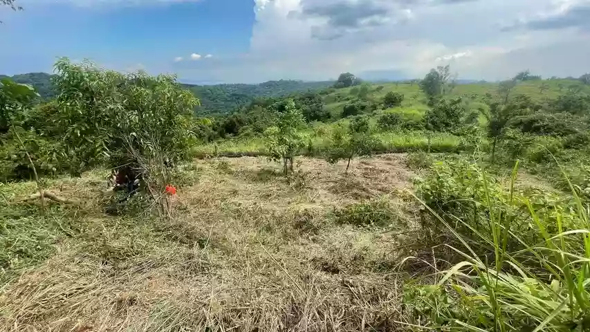 For Sale: Residential Lot in San Juan, Antipolo — 1120 sqm — Residential Lot in Antipolo, Rizal, 1870 — Photo 5