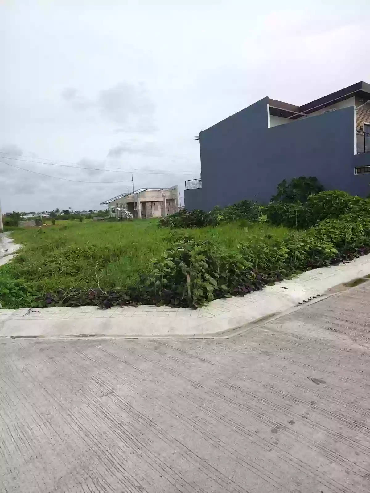 LOT FOR SALE — Residential Lot in Naga City, Camarines Sur, 4400 — Photo 2