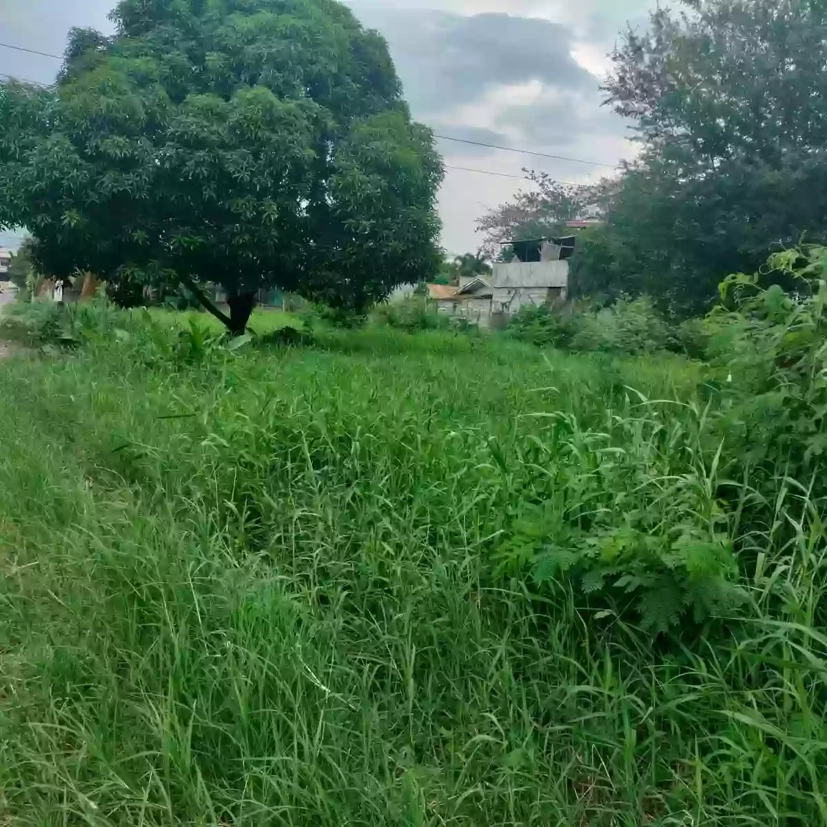 For Sale: Residential Lot in Lagao, General Santos City — 1553 sqm — Residential Lot in General Santos City, South Cotabato, 9500 — Photo 2