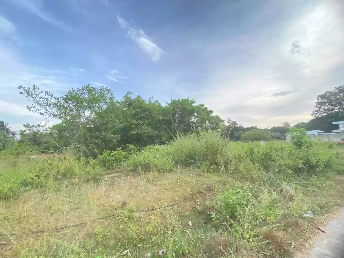 For Sale: Residential Lot in Bacung, Negros Oriental — 750 sqm — Residential Lot in Bacung, Negros Oriental, 6216 — Photo 3