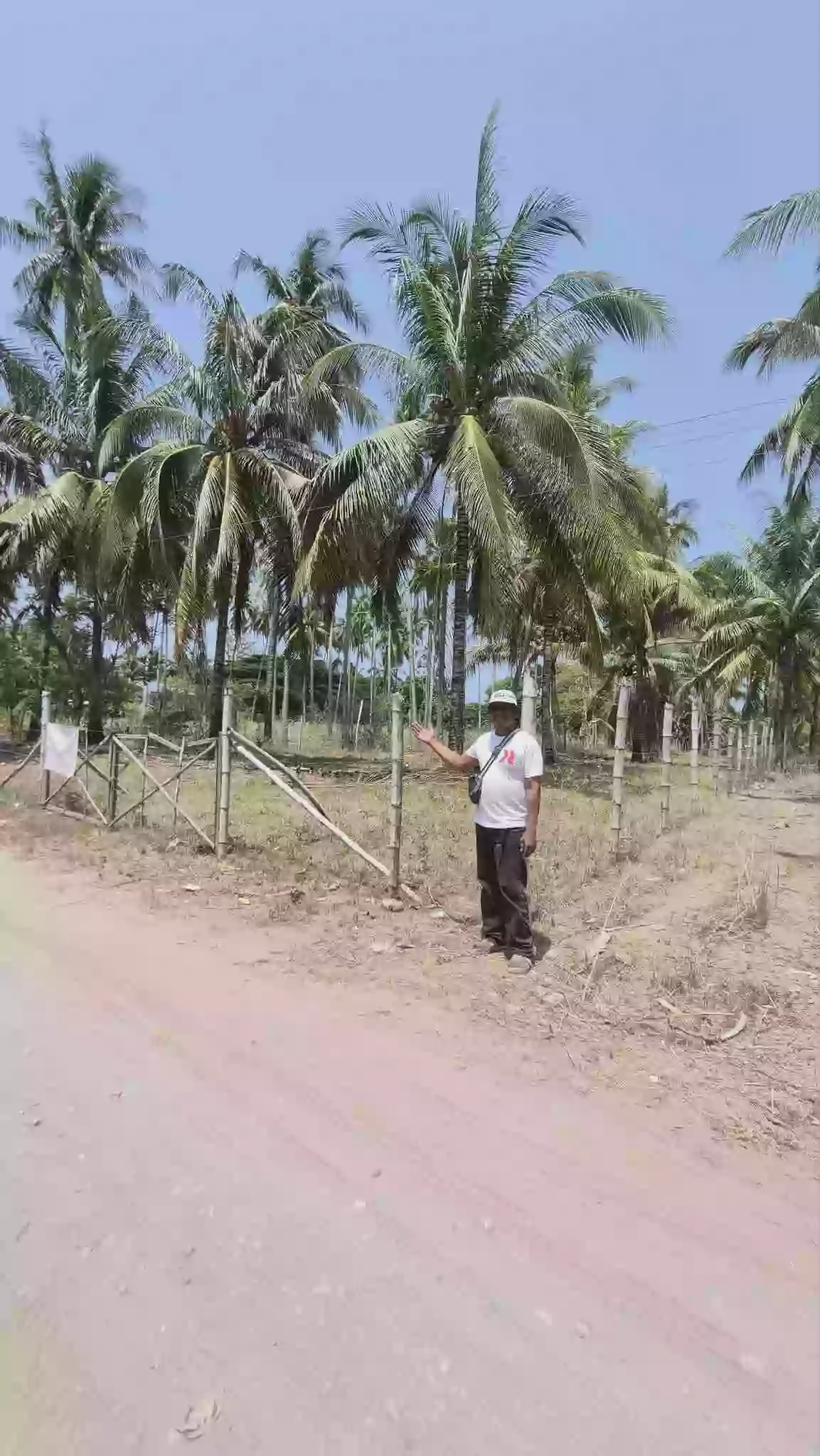 2250 sqm Residential Lot for Sale in Maluay, Zamboanguita — Investment — Residential Lot in Maluay, Zamboanguita, Negros Oriental — Photo 3