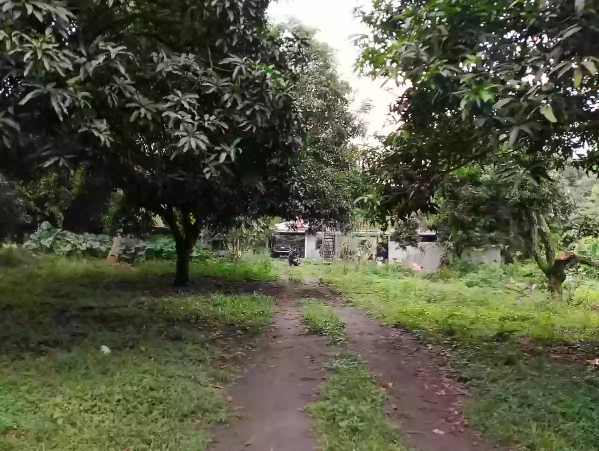 For Rent: Agricultural Lot in Upper Klinan, Polomolok — 10000 sqm
