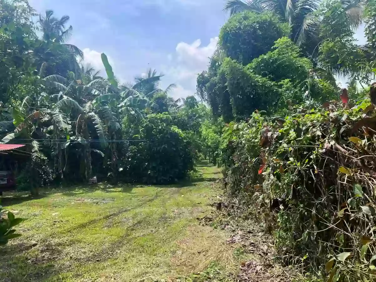 For Sale: Residential Lot in Lucsuhin, Silang, Cavite — 30,500 sqm — Residential Lot in Silang, Cavite, 4118 — Photo 5