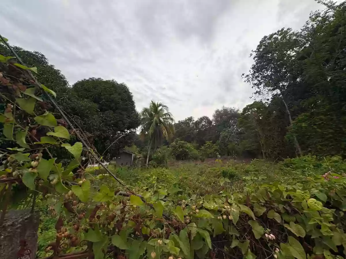 For Sale Commercial Lot in Banilad, Dumaguete City 3104 sqm — Commercial Lot in Dumaguete City, Negros Oriental, 6200 — Photo 3