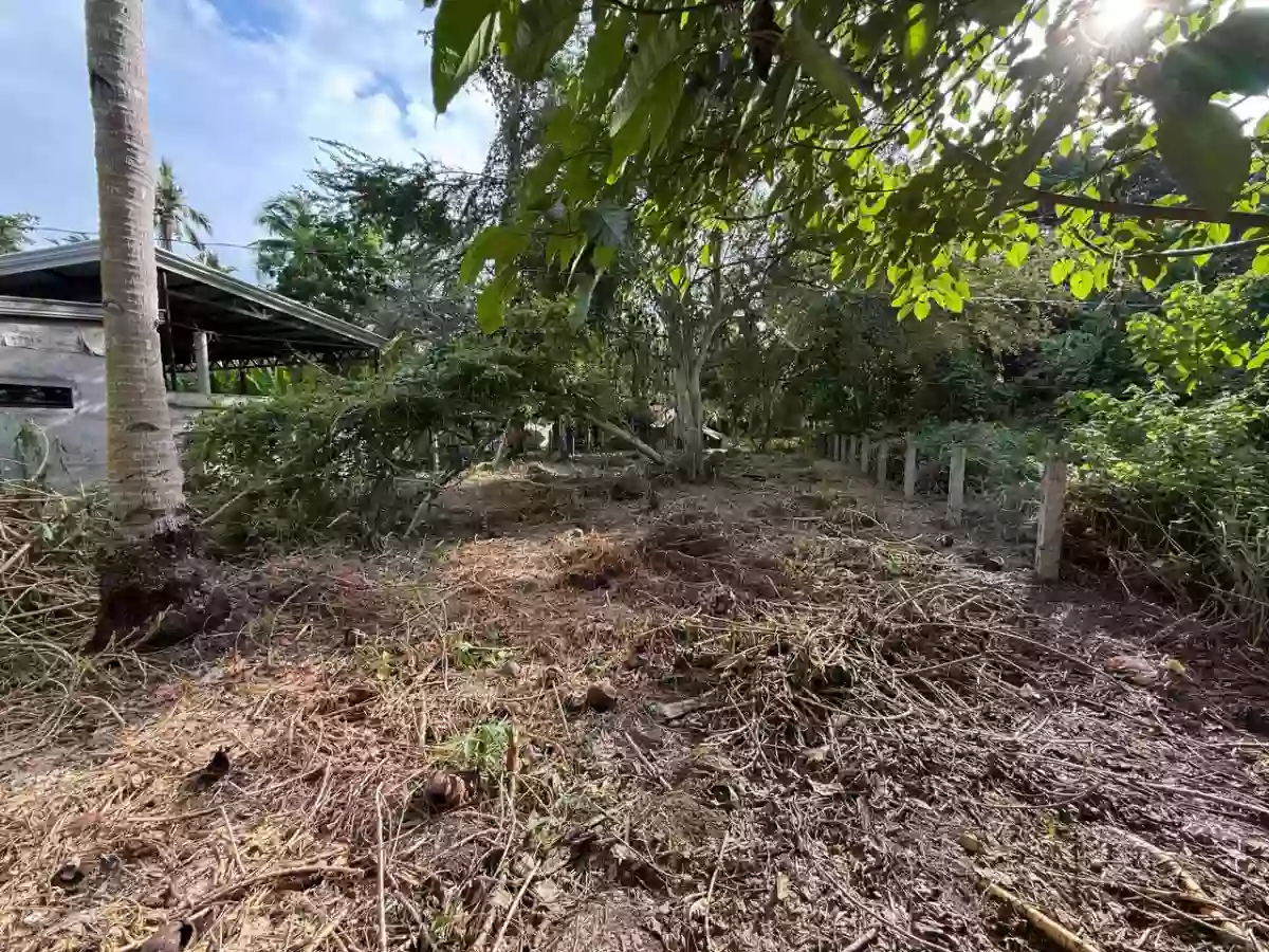 For Sale: Agricultural Lot in Poblacion, Naawan — 1299 sqm — Agricultural Lot in Poblacion, Naawan, Misamis Oriental — Photo 4