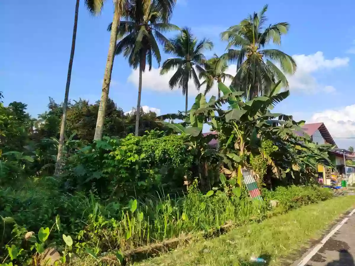 4500 sqm , commercial lot ,fronting national road — Commercial Lot in Pagadian City, Zamboanga del Sur, 7016 — Photo 3