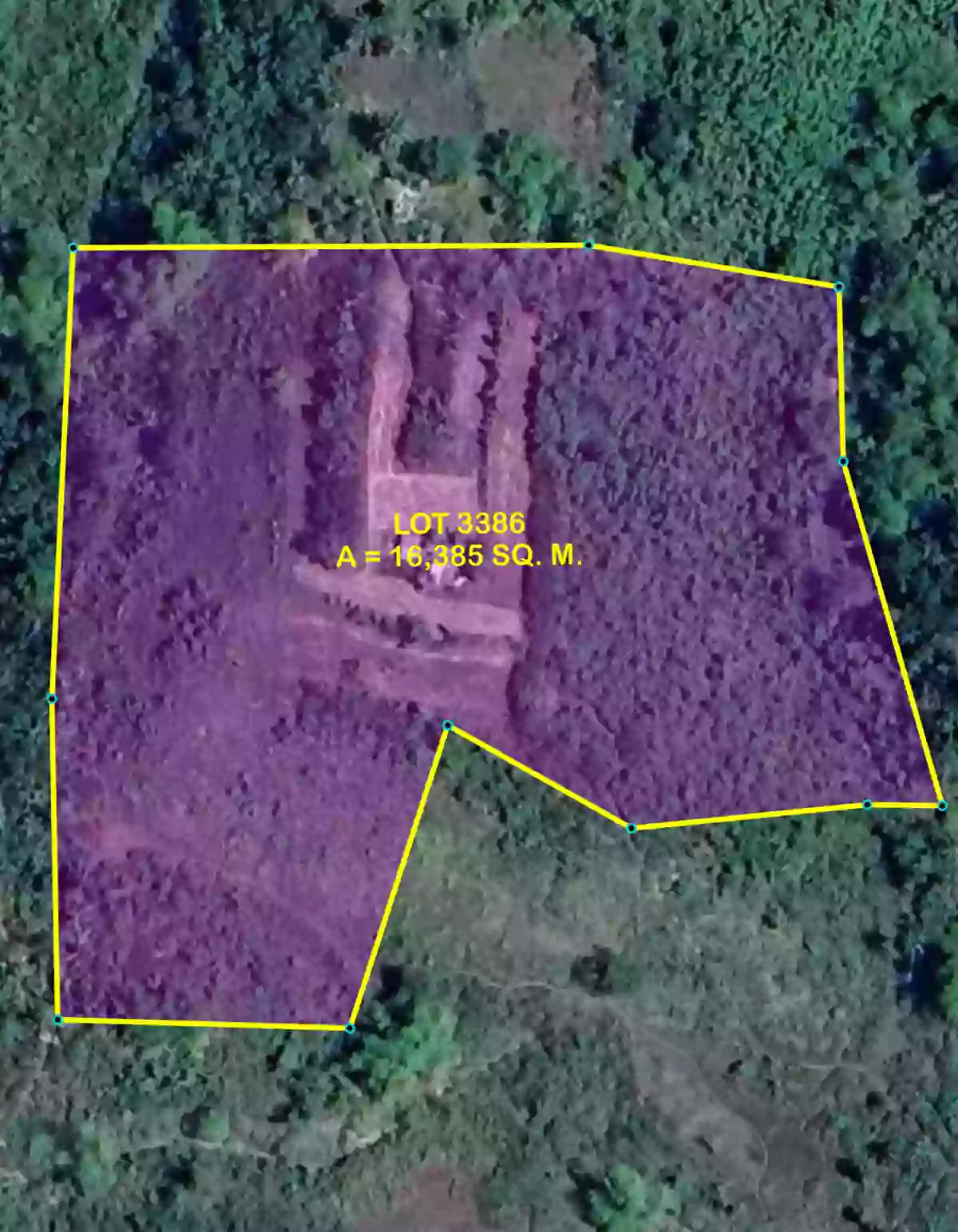 Lot For Sale in Liburon Carcar Cebu Visayas — Agricultural Lot in Carcar, Cebu, 6019 — Photo 7