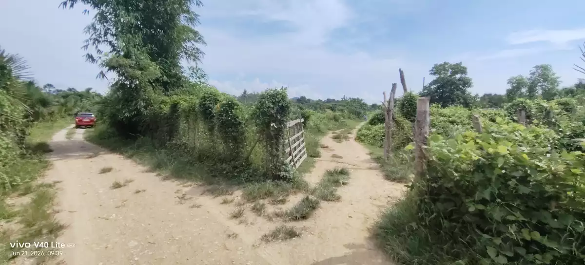 For Sale: Beach Lot Near Salvacion, Roxas — 500 Meters to Beach — Beach Lot in Roxas, Palawan, 5308 — Photo 4