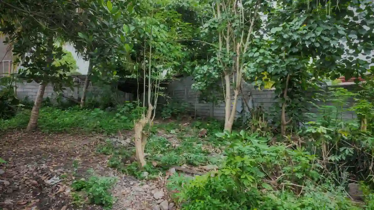 AB lot — Residential Lot in General Santos City, South Cotabato, 9500 — Photo 4