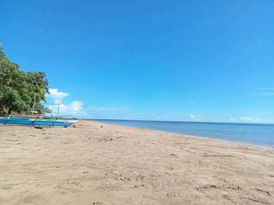 FOR SALE Beach Lot in Napsan, Puerto Princesa City — 12628 sqm — Beach Lot in Puerto Princesa City, Palawan, 5300 — Photo 6