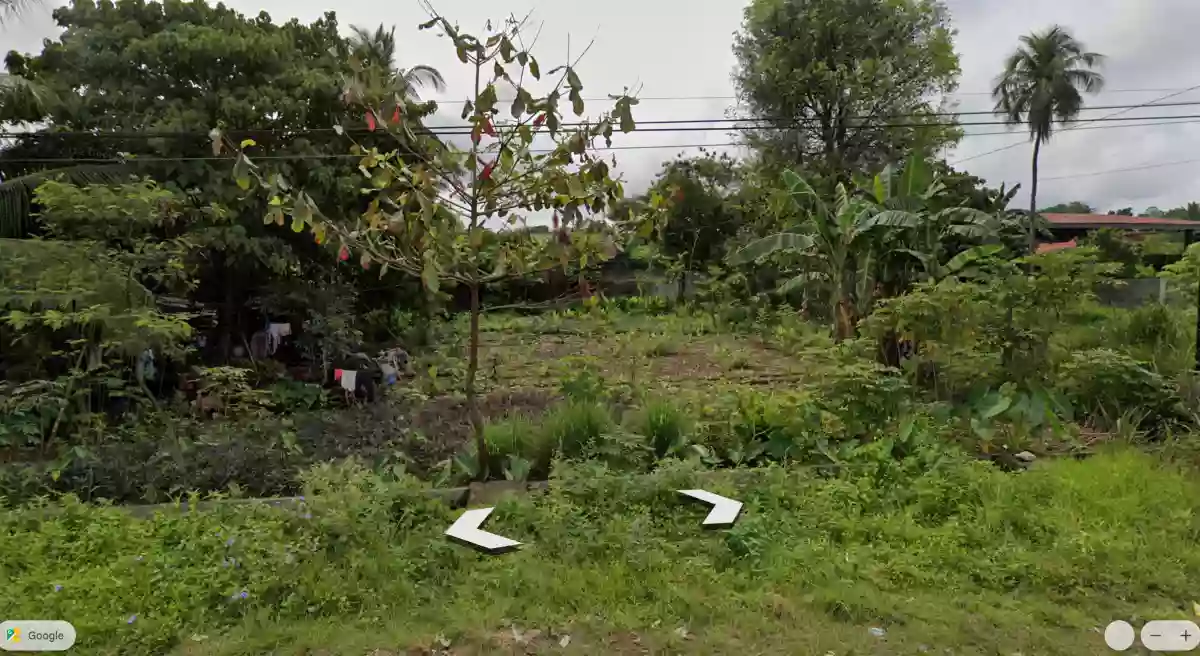 Residential Lot — Residential Lot in Don Carlos, Bukidnon, 8712 — Photo 5
