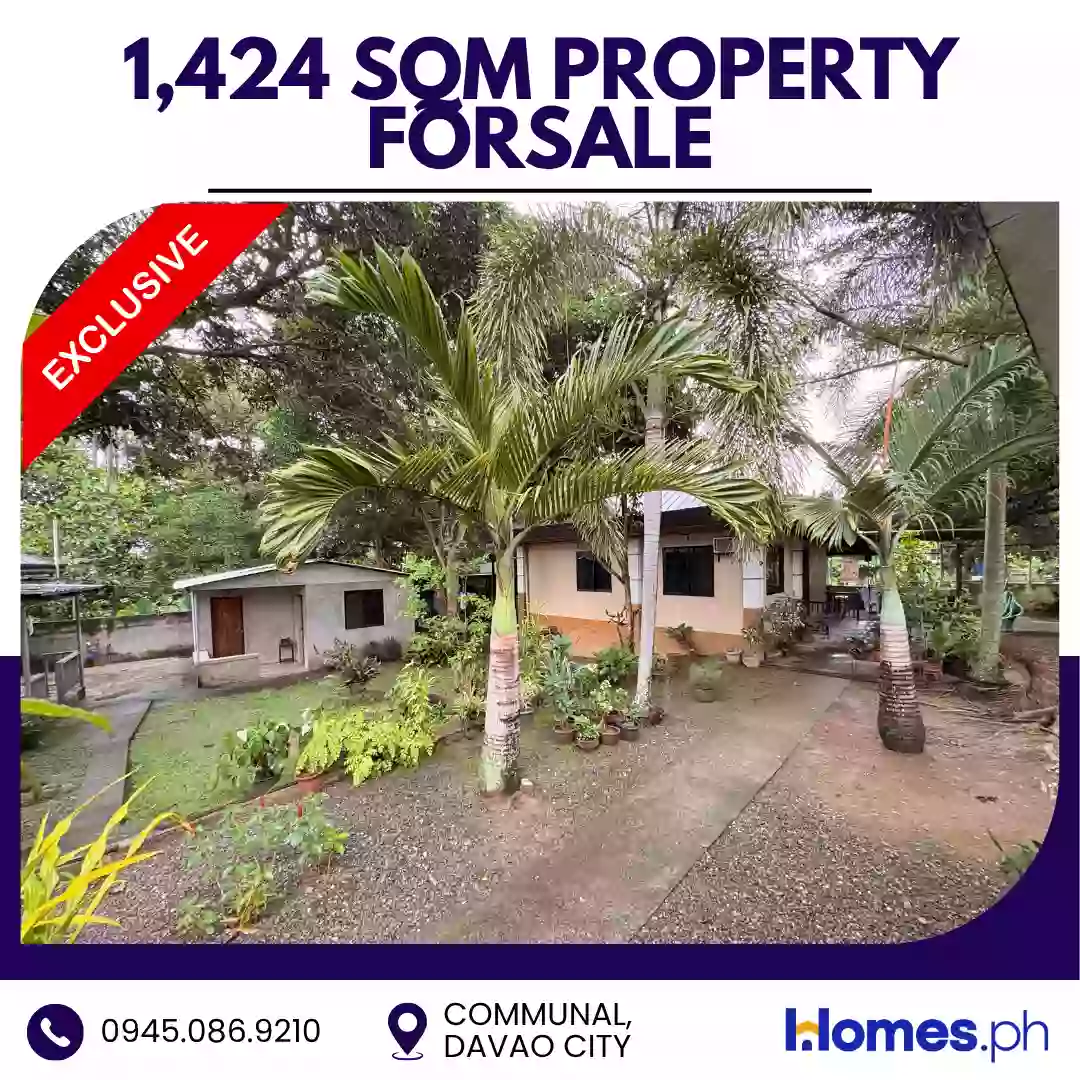 For Sale: House and Lot in Communal, Davao City — 1,424 sqm — House and Lot in Davao City, Davao del Sur, 8000 — Photo 5