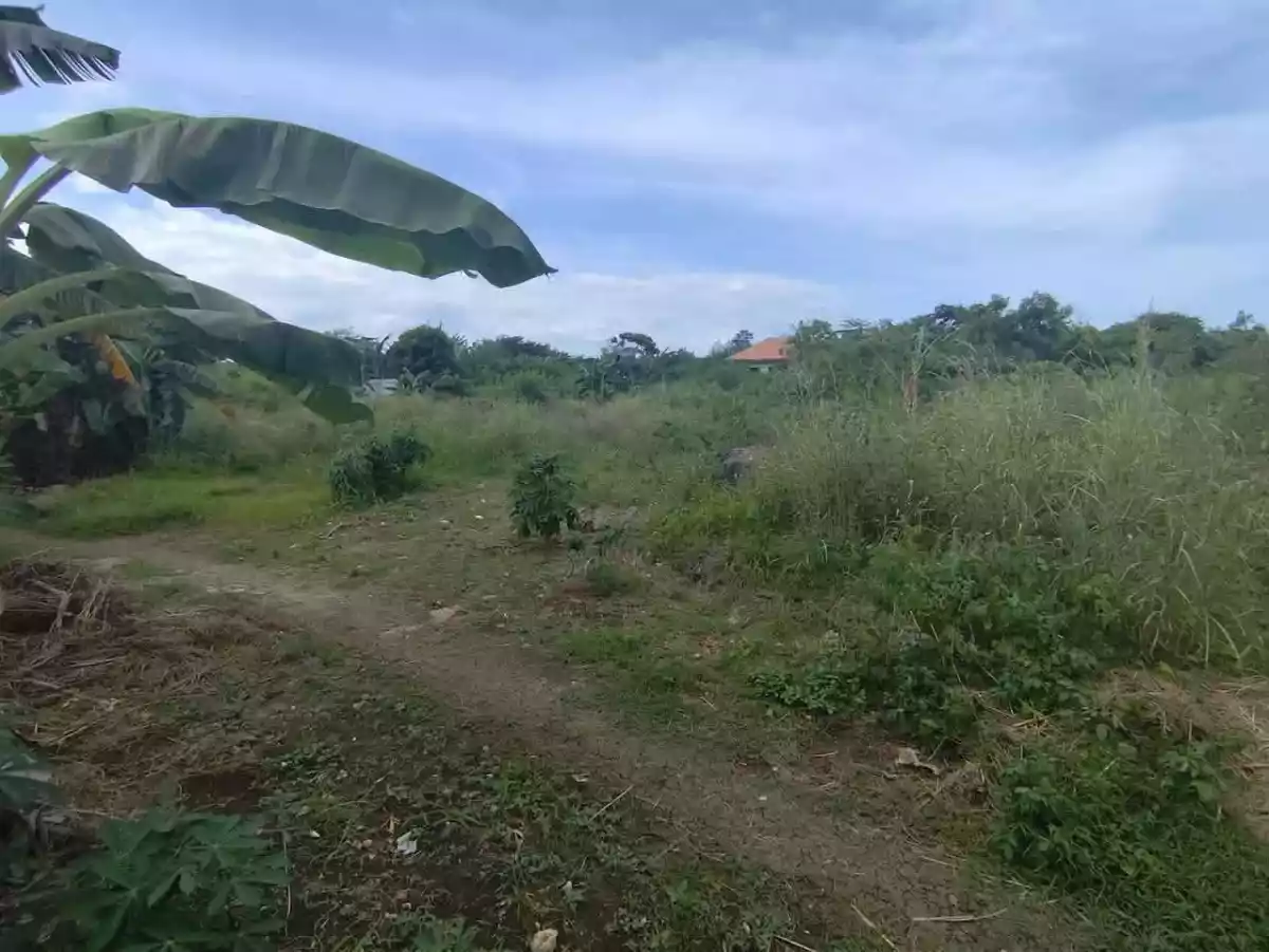 Lot for Sale near CCLEX Access Road — Residential Lot in Ibabao, Cordova, Cebu — Photo 6