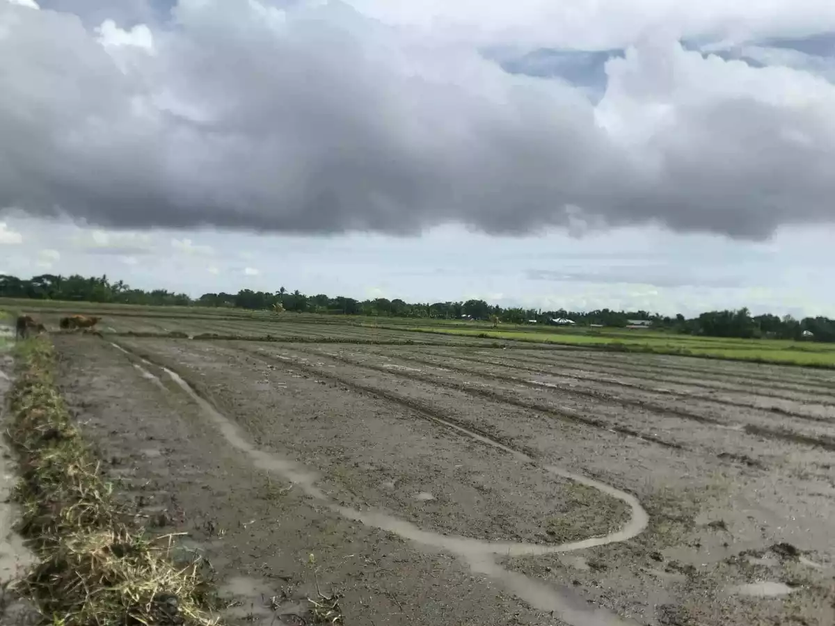 Clean title — Residential Lot in Ilawod Poblacion, Zarraga, Iloilo — Photo 4