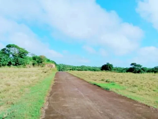 For Sale: Residential Lot in Aslong, Libmanan, 106000 sqm — Residential Lot in Libmanan, Camarines Sur, 4407 — Photo 6