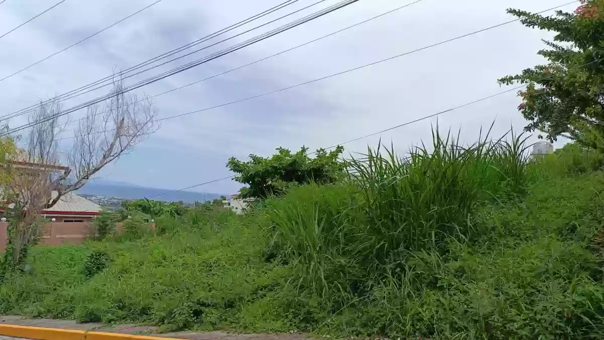 🌿 Prime Residential Lot for Sale – Pacific Heights Subdivision, Pardo, Cebu City — Residential Lot in Basak Pardo, Cebu City, Cebu — Photo 2