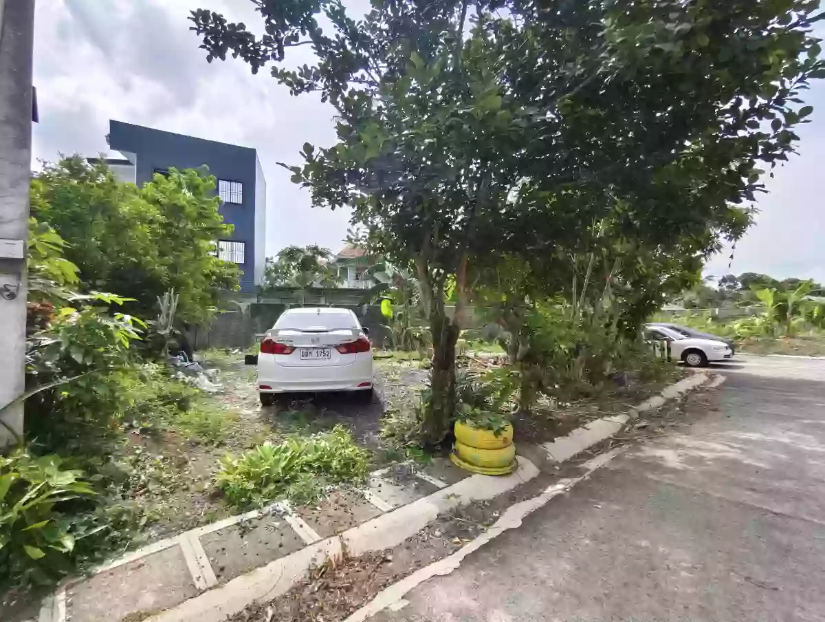 For Sale: Residential Lot in Concepcion Grande, Naga City — 171 sqm — Residential Lot in Concepcion Grande, Naga City, Camarines Sur — Photo 4