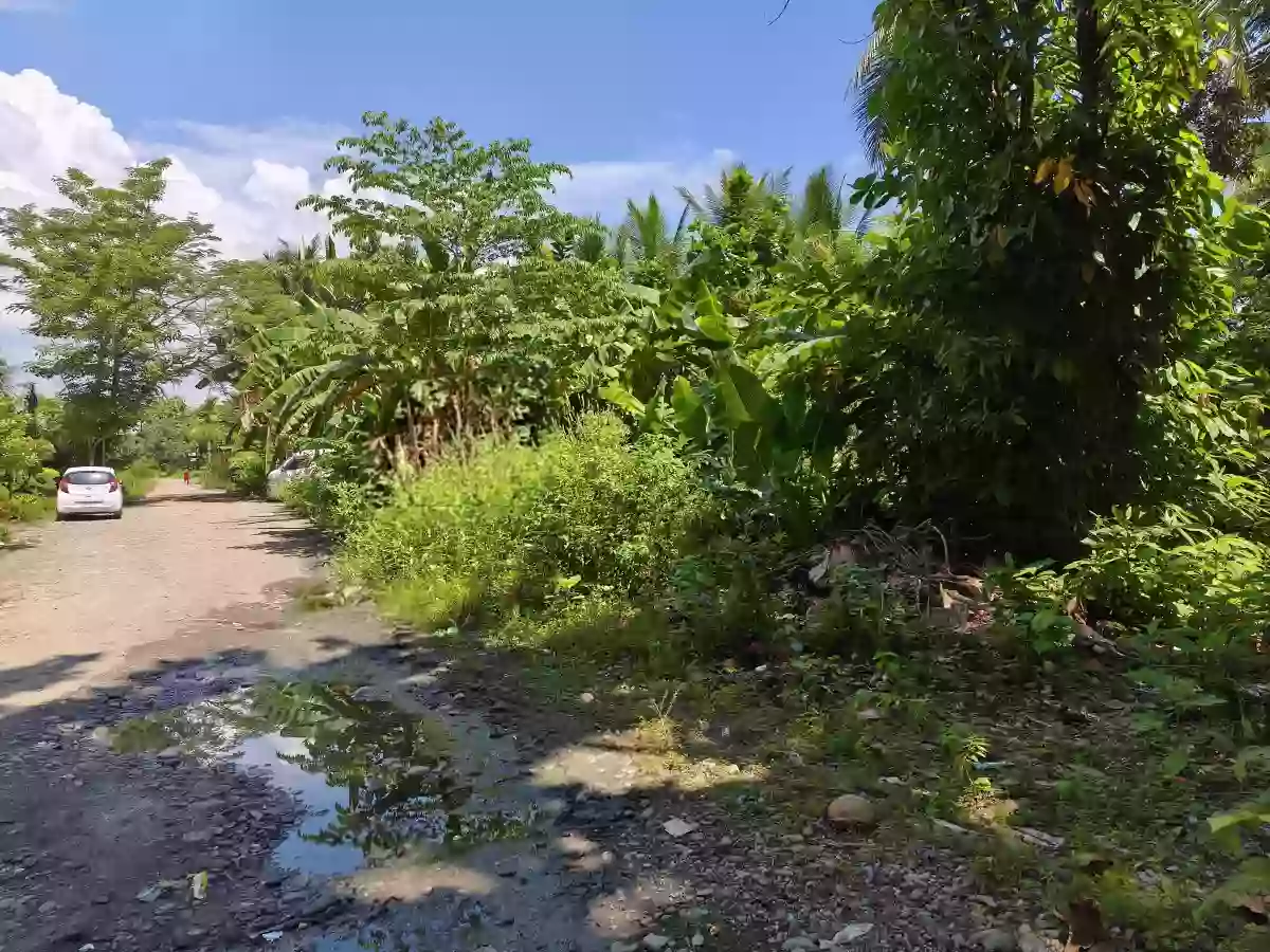 Residential lot for sale — Residential Lot in Baan KM 3, Butuan City, Agusan del Norte — Photo 5