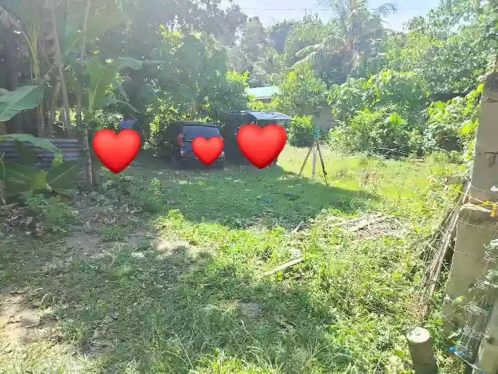 For Sale Residential Lot in Ajong, Sibulan — 258 sqm Clean Title — Residential Lot in Ajong, Sibulan, Negros Oriental — Photo 2