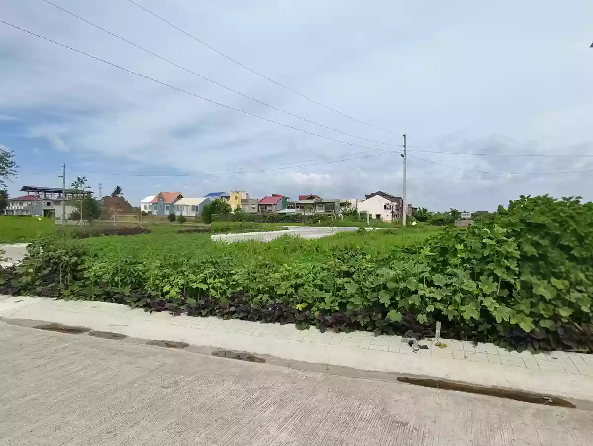 LOT FOR SALE — Residential Lot in Naga City, Camarines Sur, 4400 — Photo 6