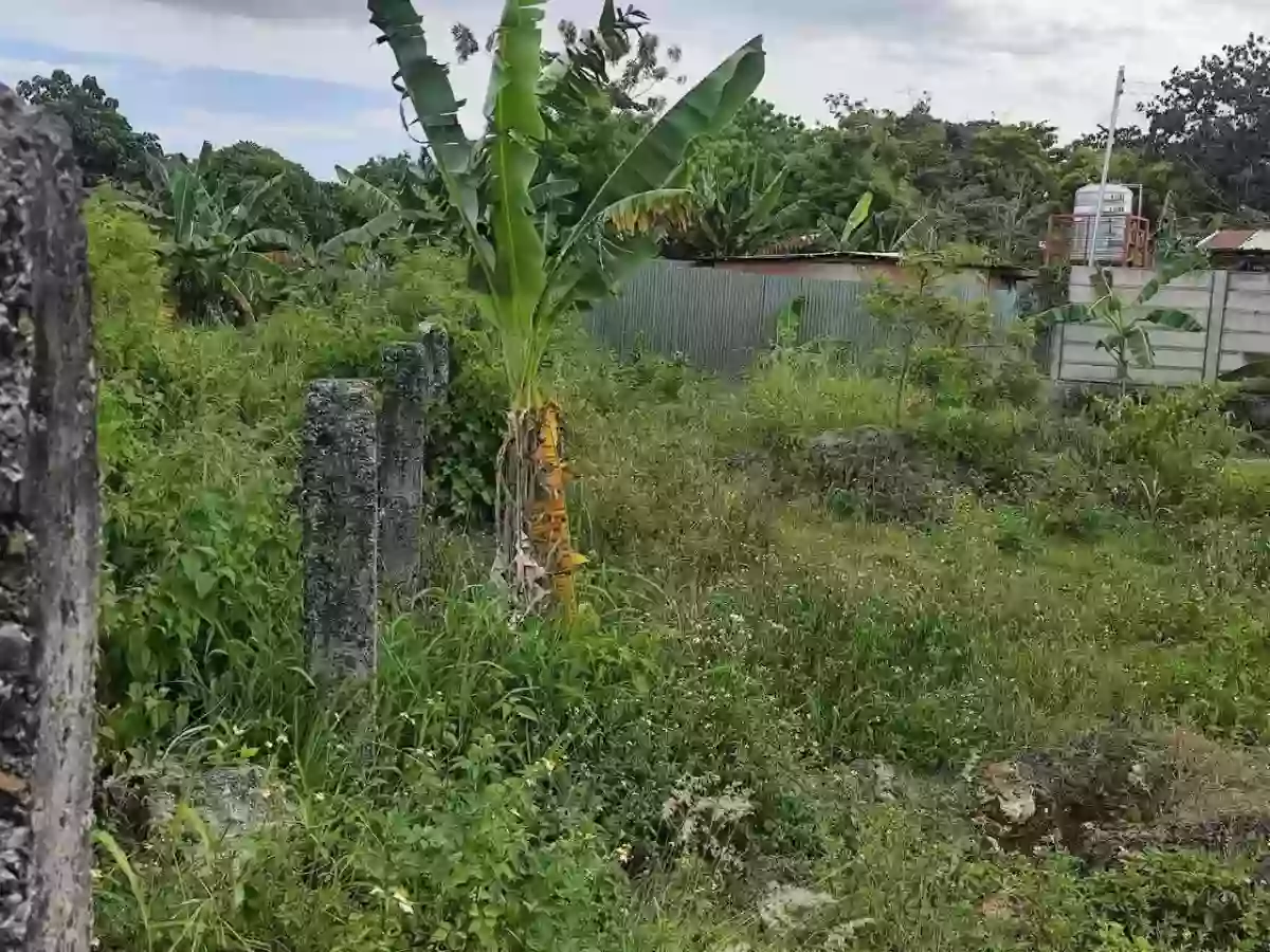 Lot for Sale near CCLEX Access Road — Residential Lot in Ibabao, Cordova, Cebu — Photo 5