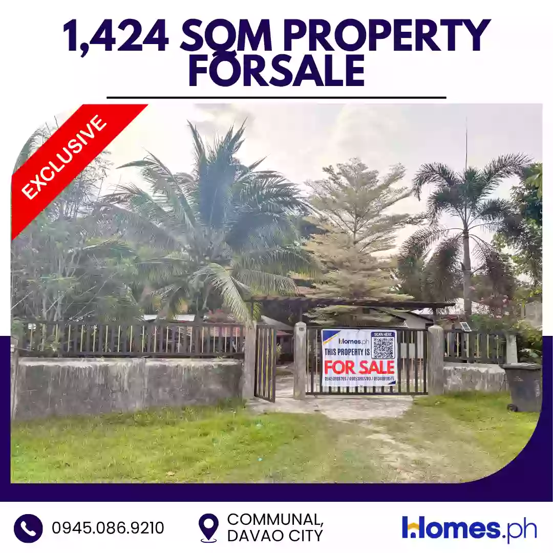 For Sale: House and Lot in Communal, Davao City — 1,424 sqm