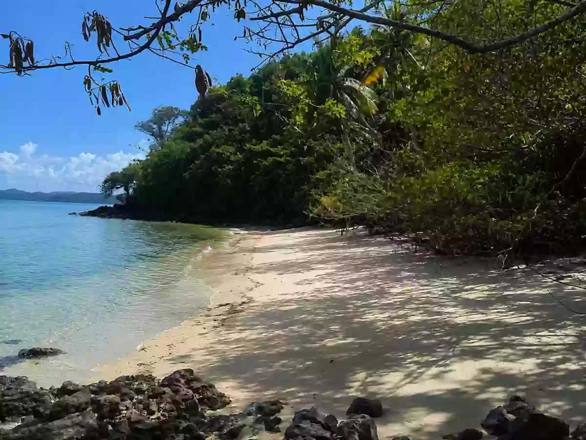 For Sale: Island in Dumaran, Palawan — 170000 sqm — Island in Dumaran (Pob.), Dumaran, Palawan — Photo 2