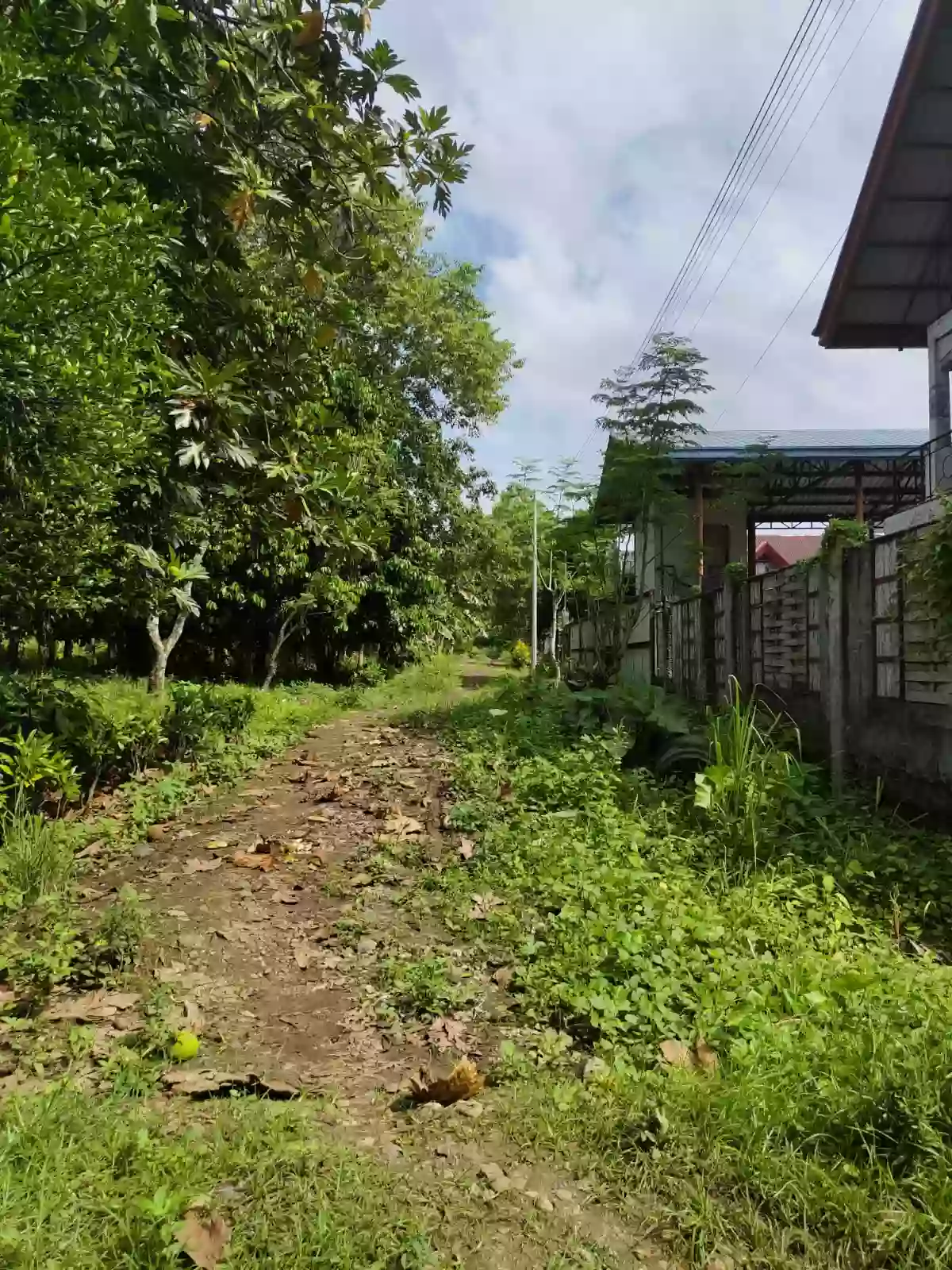 Open photo 11 of 18 — For Sale: Calinan (Pob.) Residential Lot in Davao City — Near School