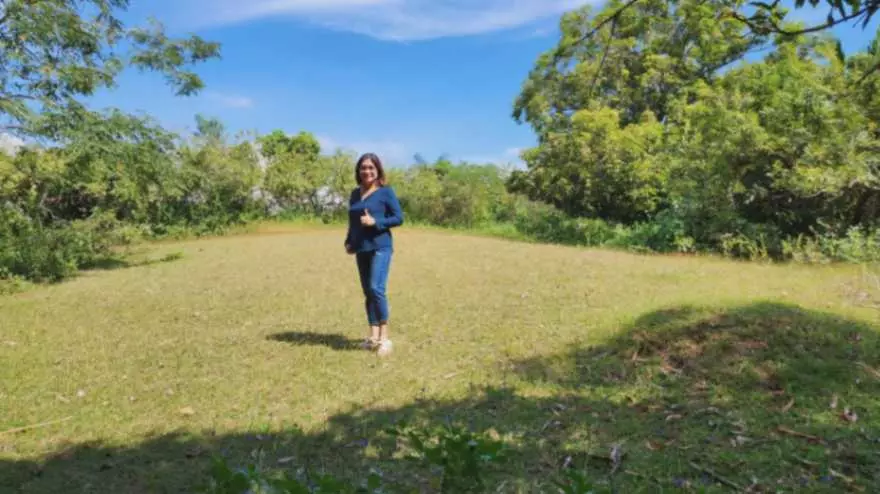 For Sale: 2-Hectare Ocean-View Property – Ideal Investment - photo 5
