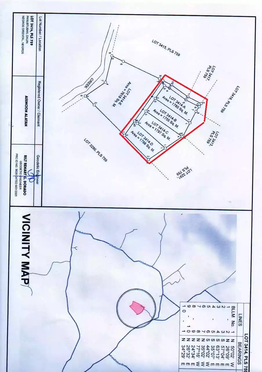 For Sale Agricultural Lot in Panubtuban, Dauin — 7,130 sqm — Agricultural Lot in Dauin, Negros Oriental, 6217 — Photo 6