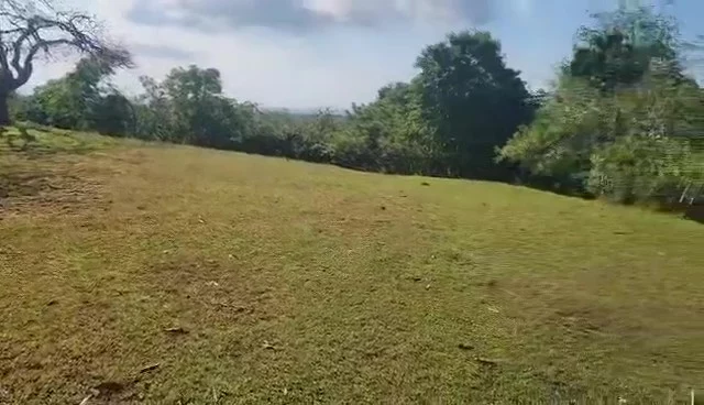 For Sale: Residential Lot in Biga, Calatagan — 20000 sqm — Residential Lot in Calatagan, Batangas, 4215 — Photo 2