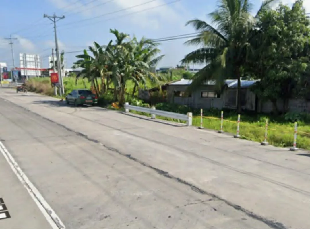 Industrial/Commercial Lot for Sale — Industrial Lot in Pili, Camarines Sur, 4418 — Photo 5