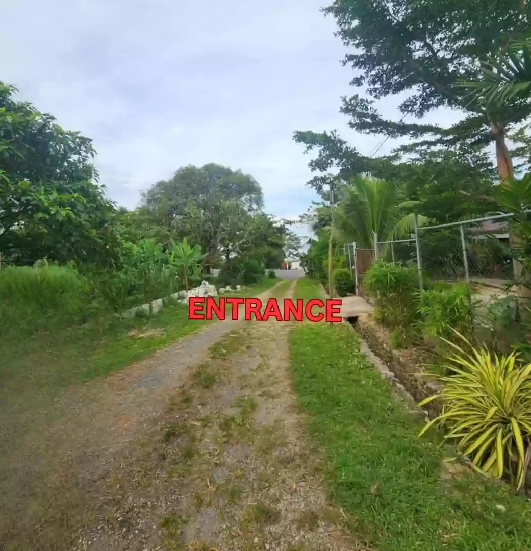 For Sale: Residential Lot in Brgy. Lipata, Surigao City — 275 sqm — Residential Lot in Surigao City, Surigao del Norte, 8400 — Photo 2