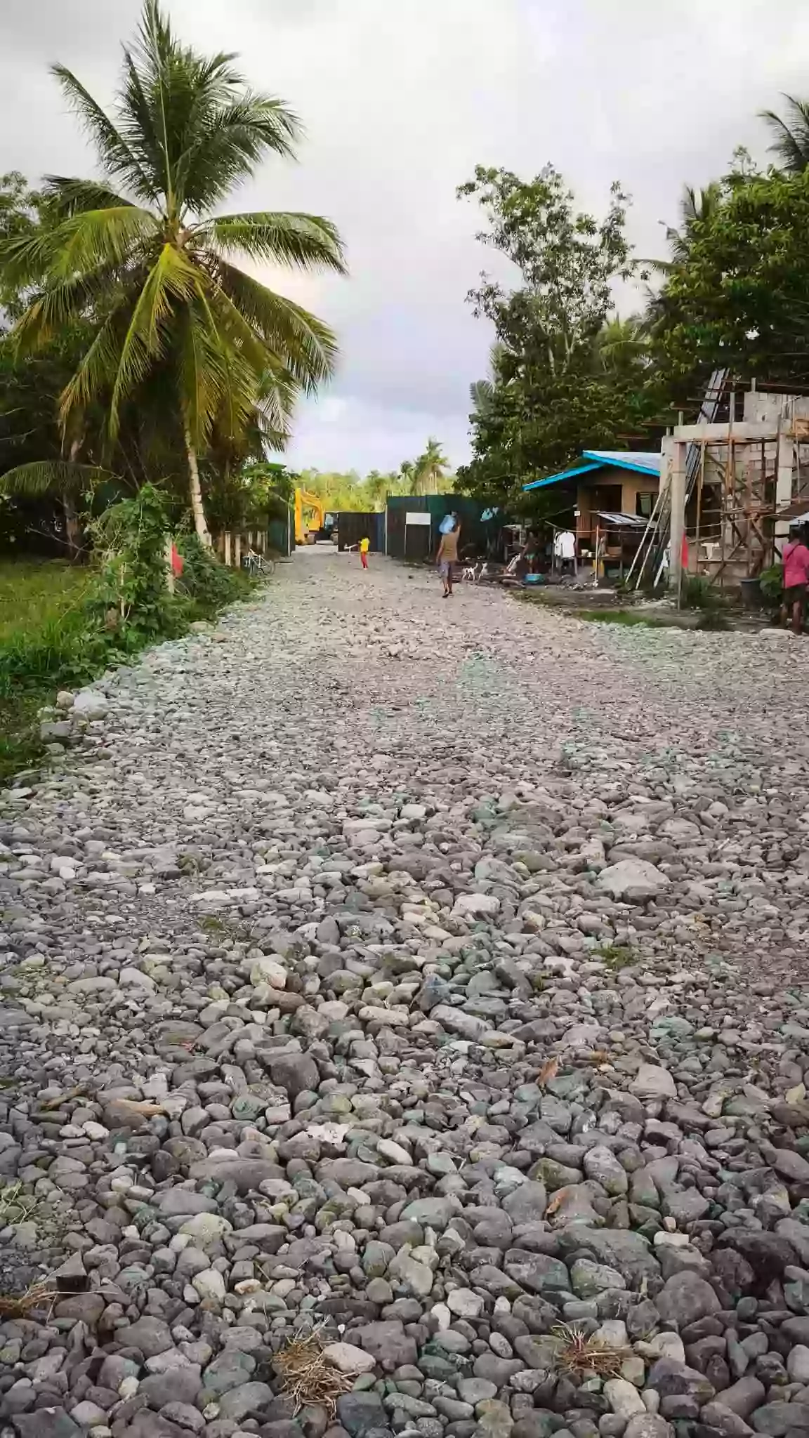 Rush Sale: Agricultural Lot in Abilan, Buenavista — 1000 sqm — Agricultural Lot in Buenavista, Agusan del Norte, 8601 — Photo 5