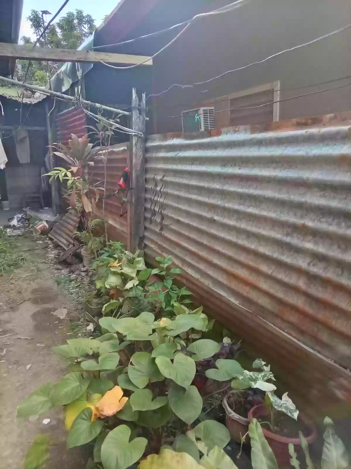House and lot for sale in pasonanca — House and Lot in Pasonanca, Zamboanga City, Zamboanga del Sur — Photo 3