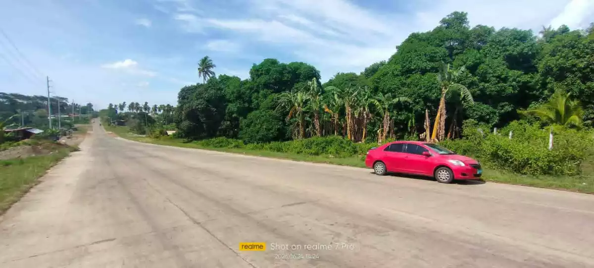 🏢 PRIME COMMERCIAL LOT FOR SALE – LAGUINDINGAN 🏢 — Commercial Lot in Lapad, Laguidingan, Misamis Oriental — Photo 5