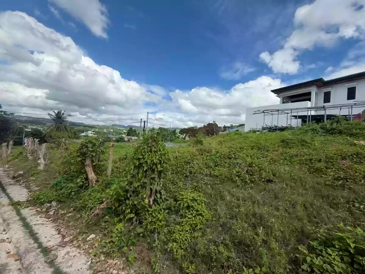 OVERLOOKING CORNER UNIT RESIDENTIAL LOT — Residential Lot in Lawaan I, Talisay City, Cebu — Photo 3